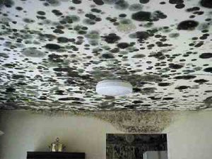 epa-mold-ceiling
