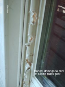 Door Seal Damage