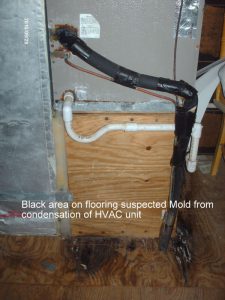 Mold on Flooring