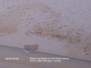 Mold on Ceiling